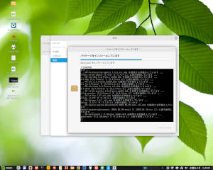 linuxmint222-001.jpg