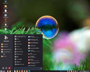 linuxmint223-003.jpg