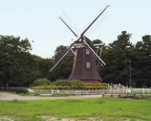 meijo01-203.jpg